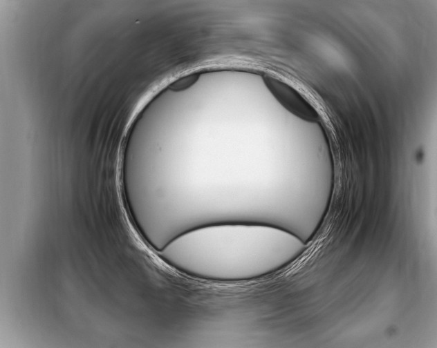 X0000099291390200805020723