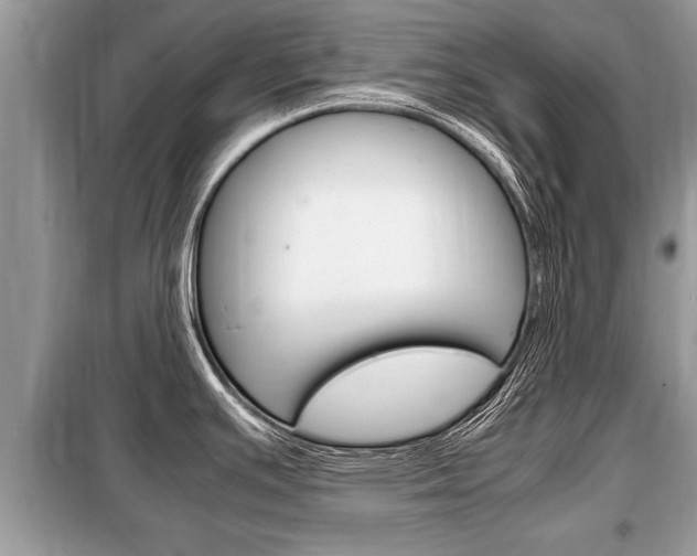 X0000099291391200805020723