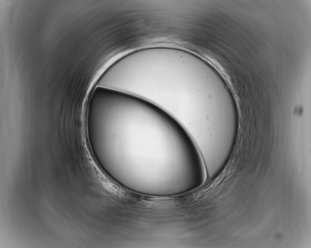 X0000099291392200805020723