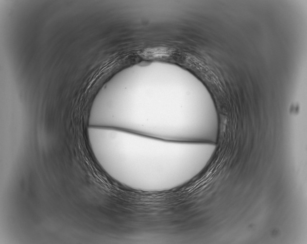 X0000099291393200805020722