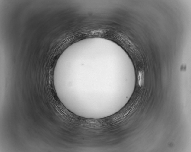 X0000099291395200805020722