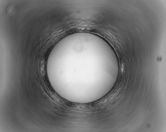 X0000099291396200805020722