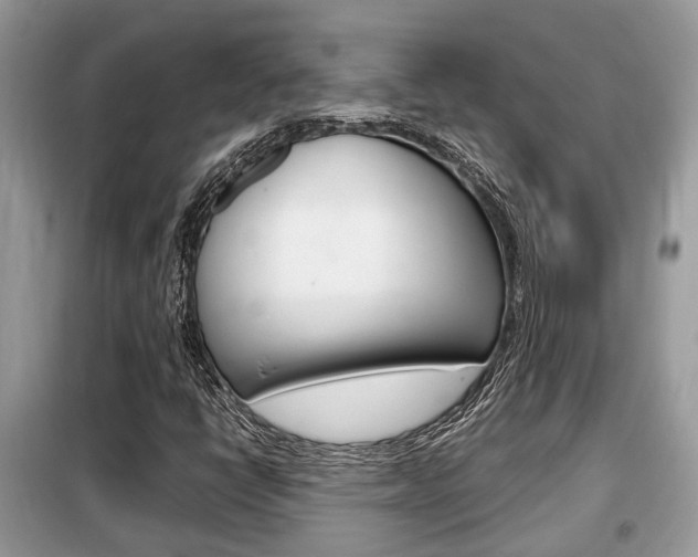 X0000099291398200805020722