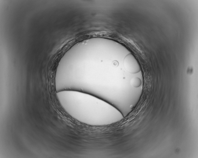 X0000099291399200805020722