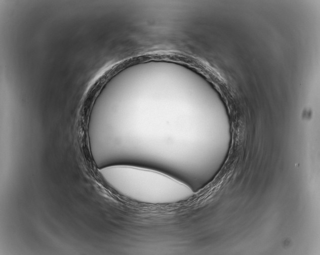 X0000099291400200805020722