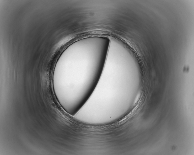 X0000099291402200805020722