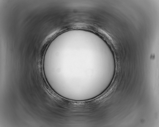 X0000099291403200805020722