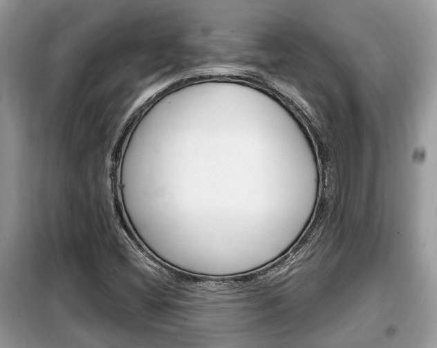 X0000099291404200805020722