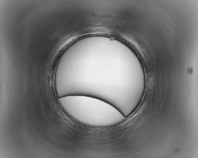 X0000099291407200805020722