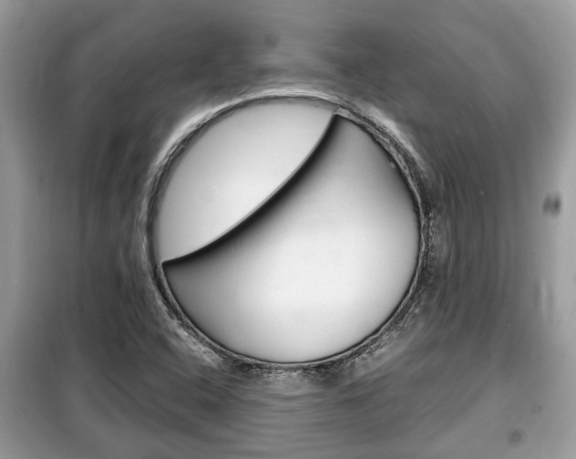 X0000099291408200805020722