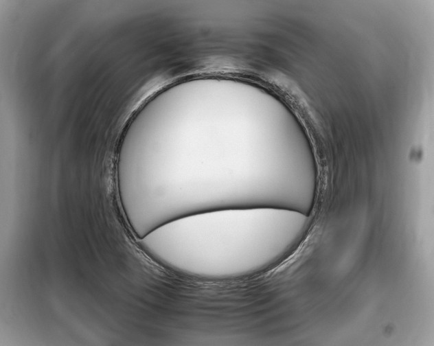 X0000099291409200805020722
