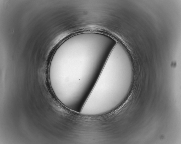 X0000099291410200805020722