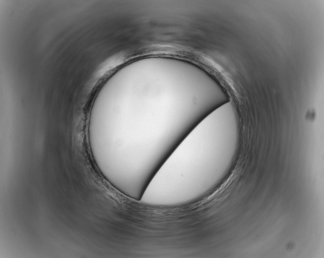 X0000099291411200805020722