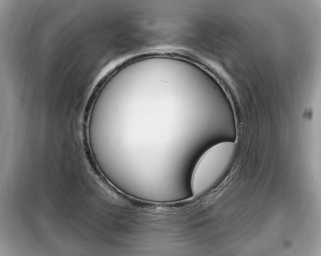 X0000099291412200805020722
