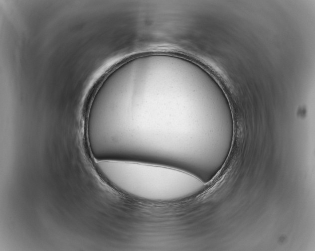X0000099291414200805020722