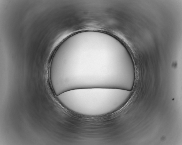 X0000099291415200805020722