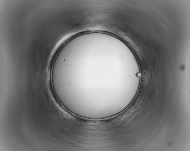 X0000099291416200805020722
