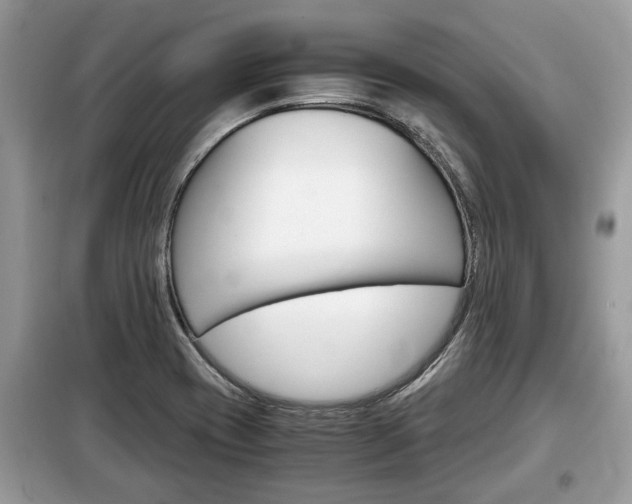 X0000099291417200805020722