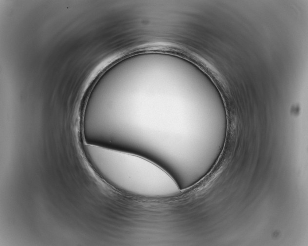X0000099291418200805020722