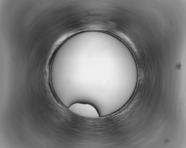 X0000099291419200805020722