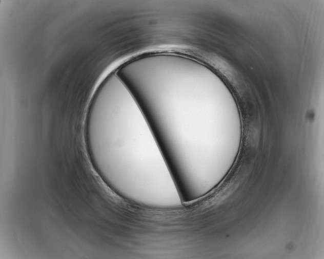 X0000099291420200805020722