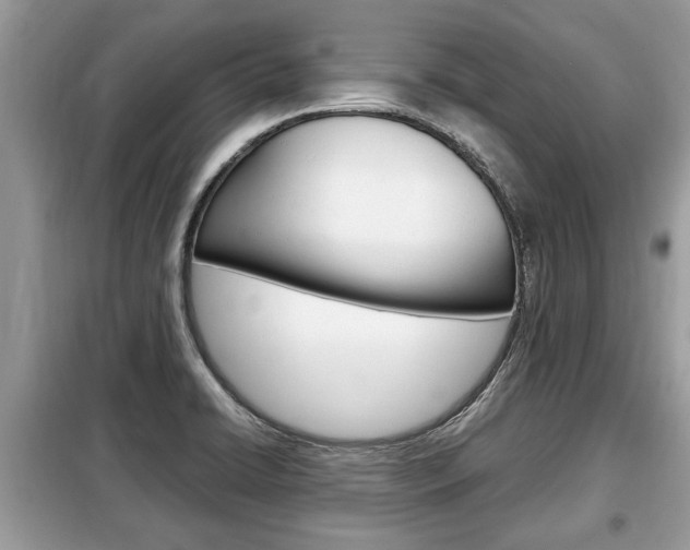 X0000099291422200805020722