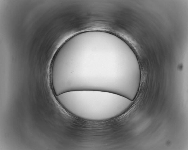 X0000099291423200805020722