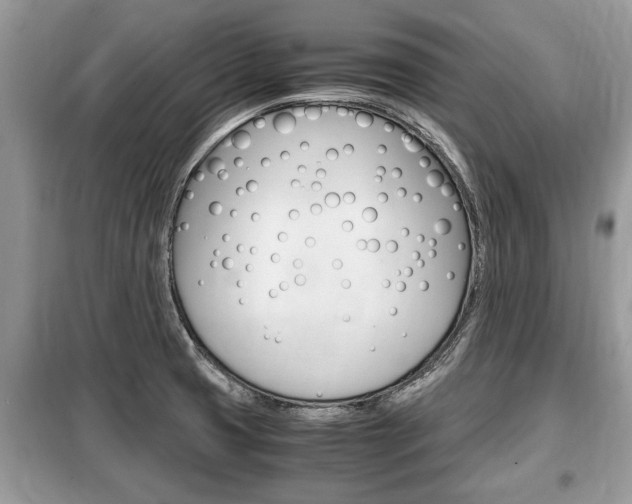 X0000099291425200805020722