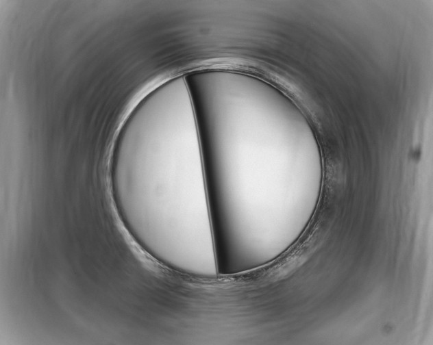 X0000099291426200805020722