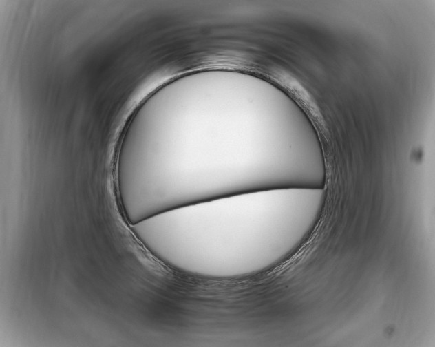 X0000099291427200805020722