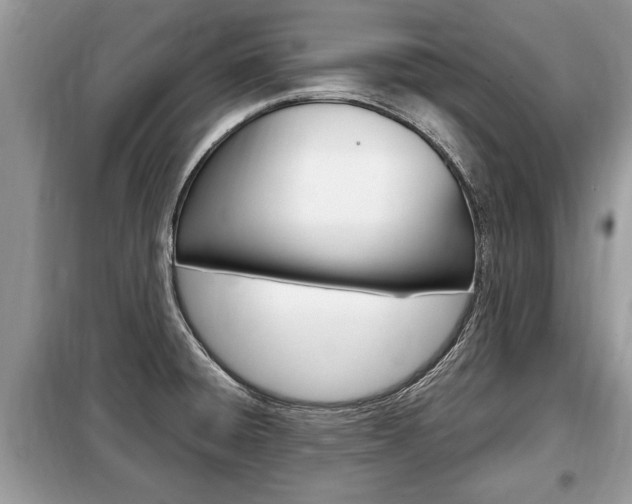X0000099291428200805020722
