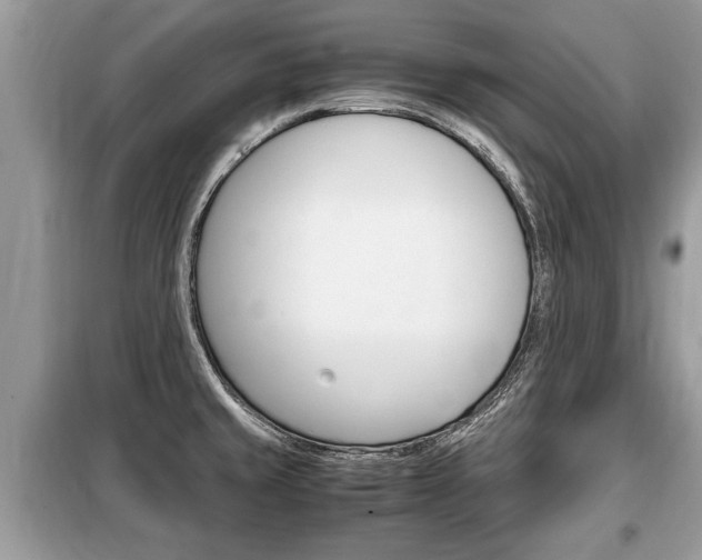 X0000099291429200805020722