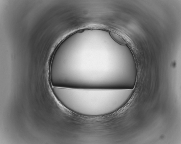 X0000099291430200805020722