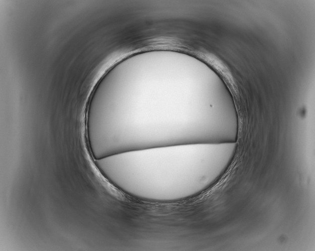 X0000099291431200805020722