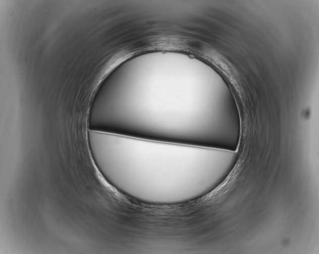 X0000099291433200805020722