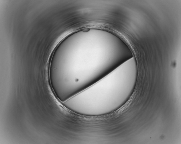 X0000099291434200805020722