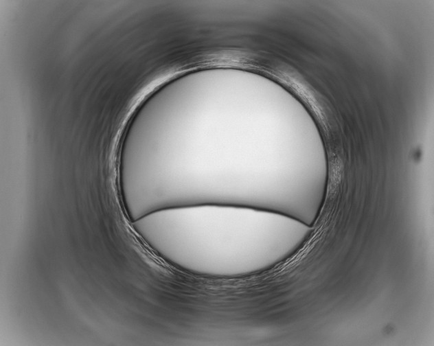 X0000099291435200805020722