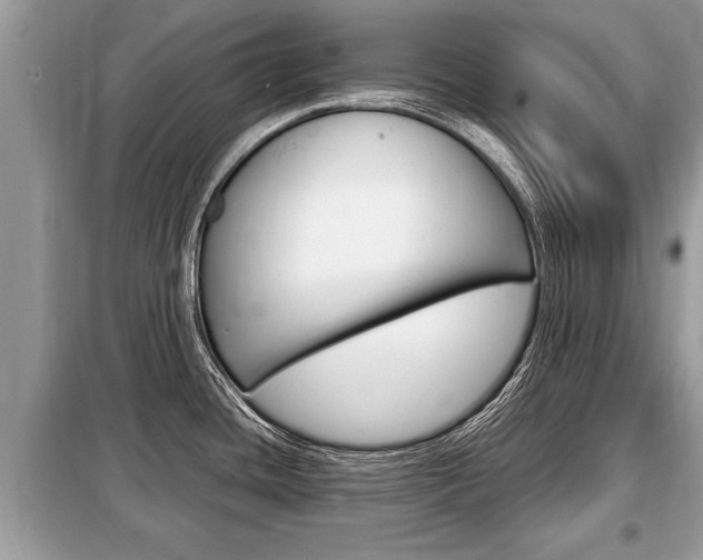 X0000099291436200805020722