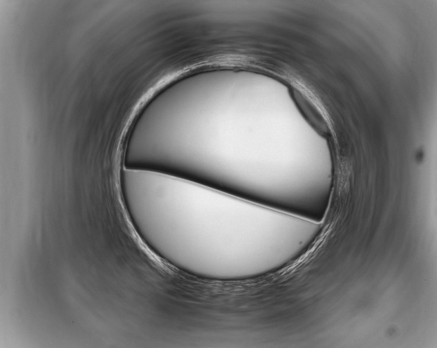 X0000099291437200805020722