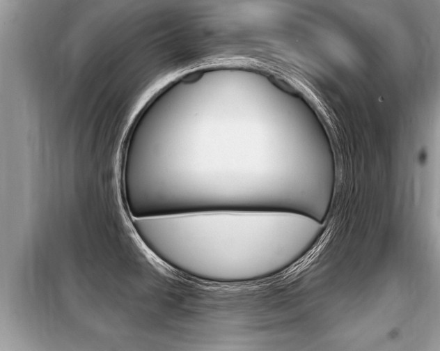 X0000099291438200805020722