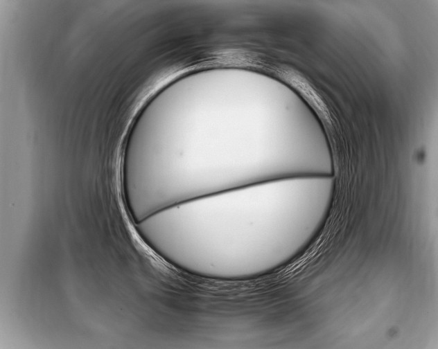 X0000099291439200805020722
