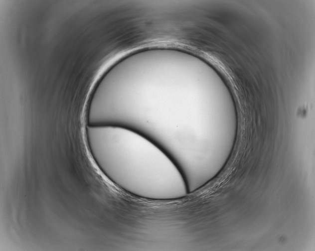 X0000099291440200805020723