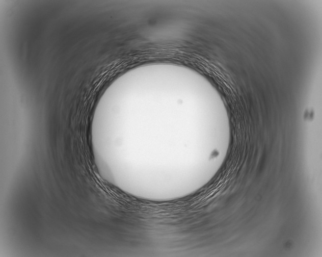 X0000099291441200805020722