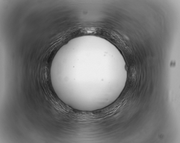 X0000099291442200805020722