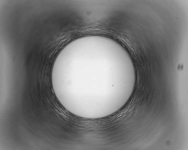 X0000099291444200805020722