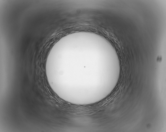 X0000099291445200805020722