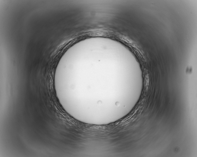 X0000099291446200805020722