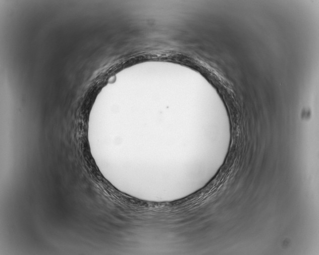 X0000099291447200805020722