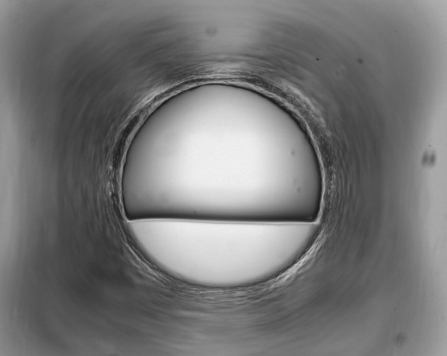 X0000099291449200805020722