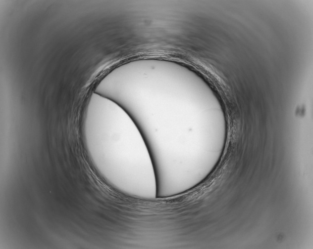 X0000099291451200805020722